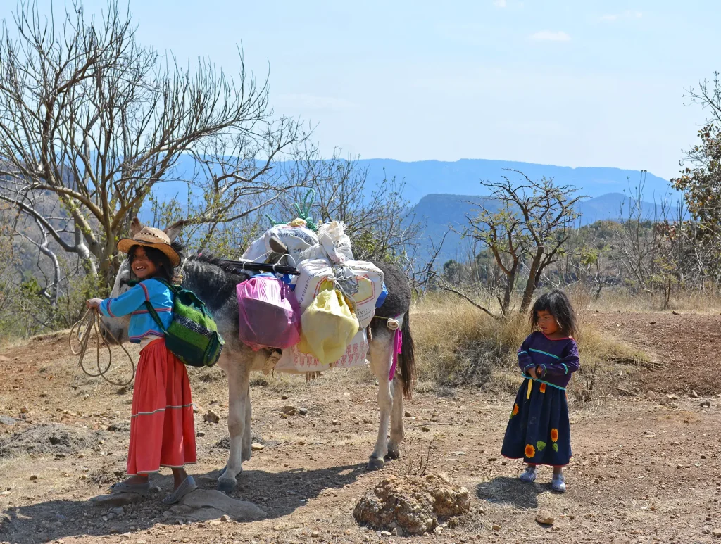 Ha Ta Tukari. Little cute girls going with a donkey carrying stuff to their home. Photo by Pilar Campos.  